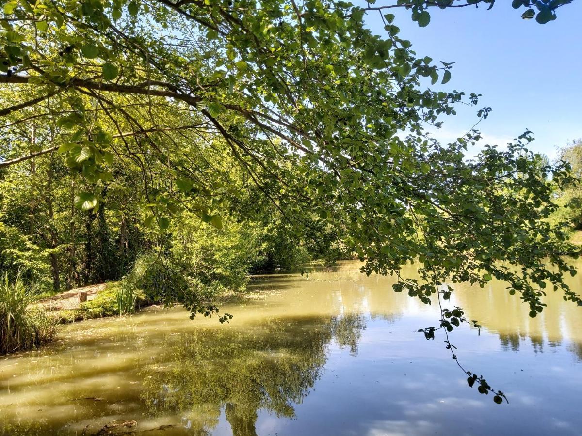 E7 Roebeck Country Park Βίλα Ryde  Εξωτερικό φωτογραφία