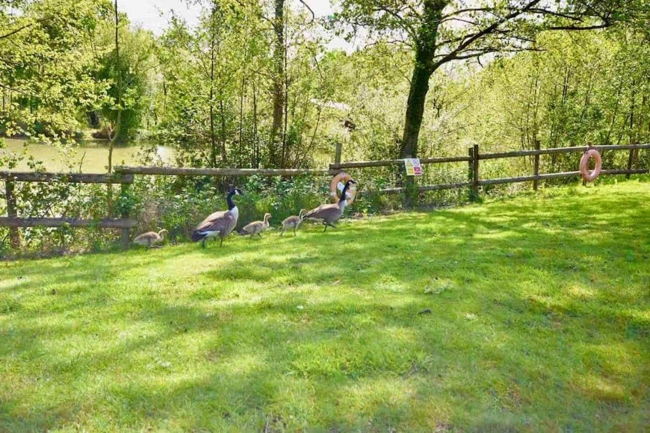 E7 Roebeck Country Park Βίλα Ryde  Εξωτερικό φωτογραφία